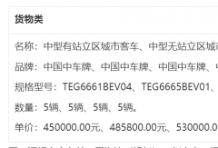 普洱新能源公交采購(gòu)結(jié)果曝光 中車(chē)時(shí)代拿下大單！